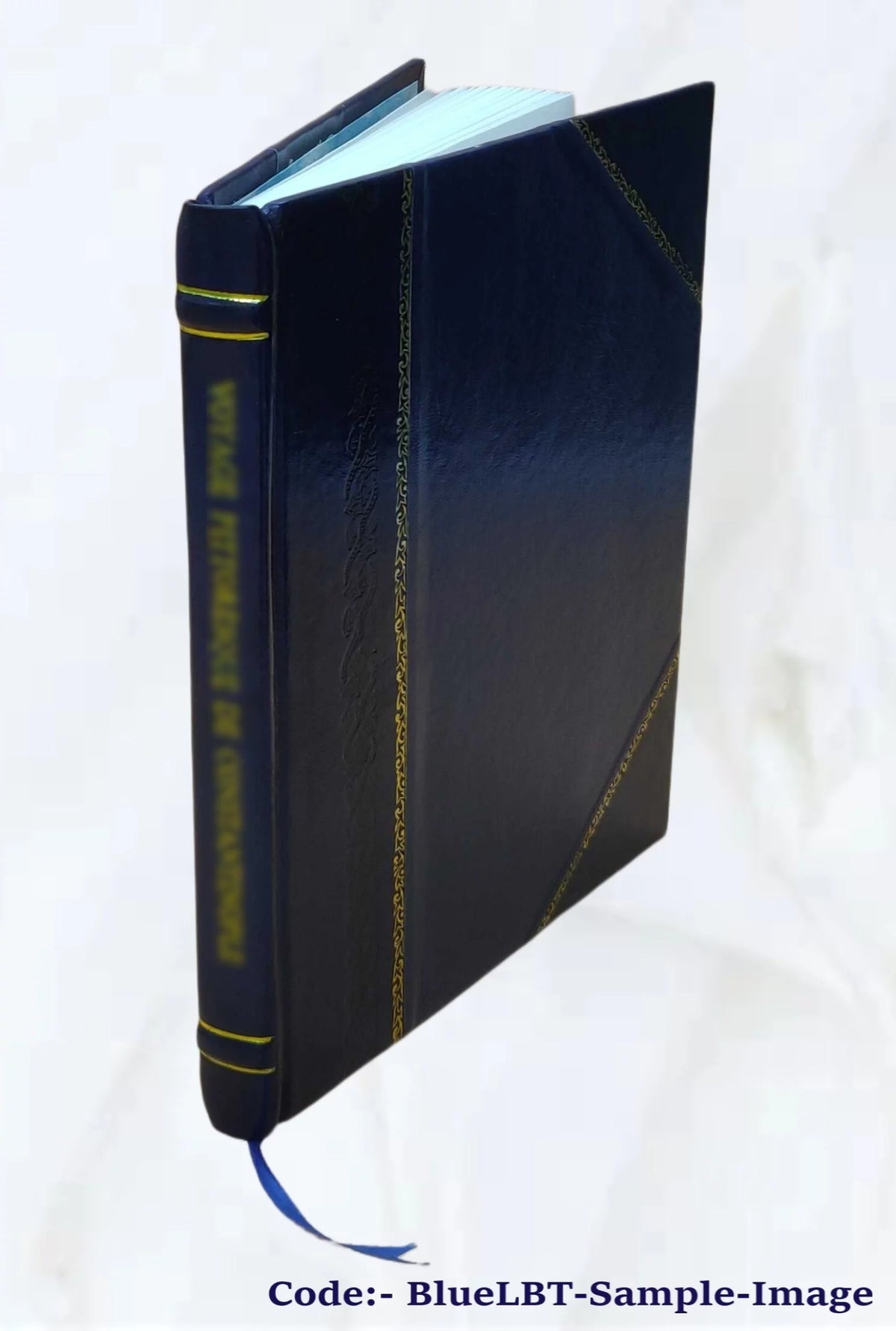 Leather Bound Book N46678