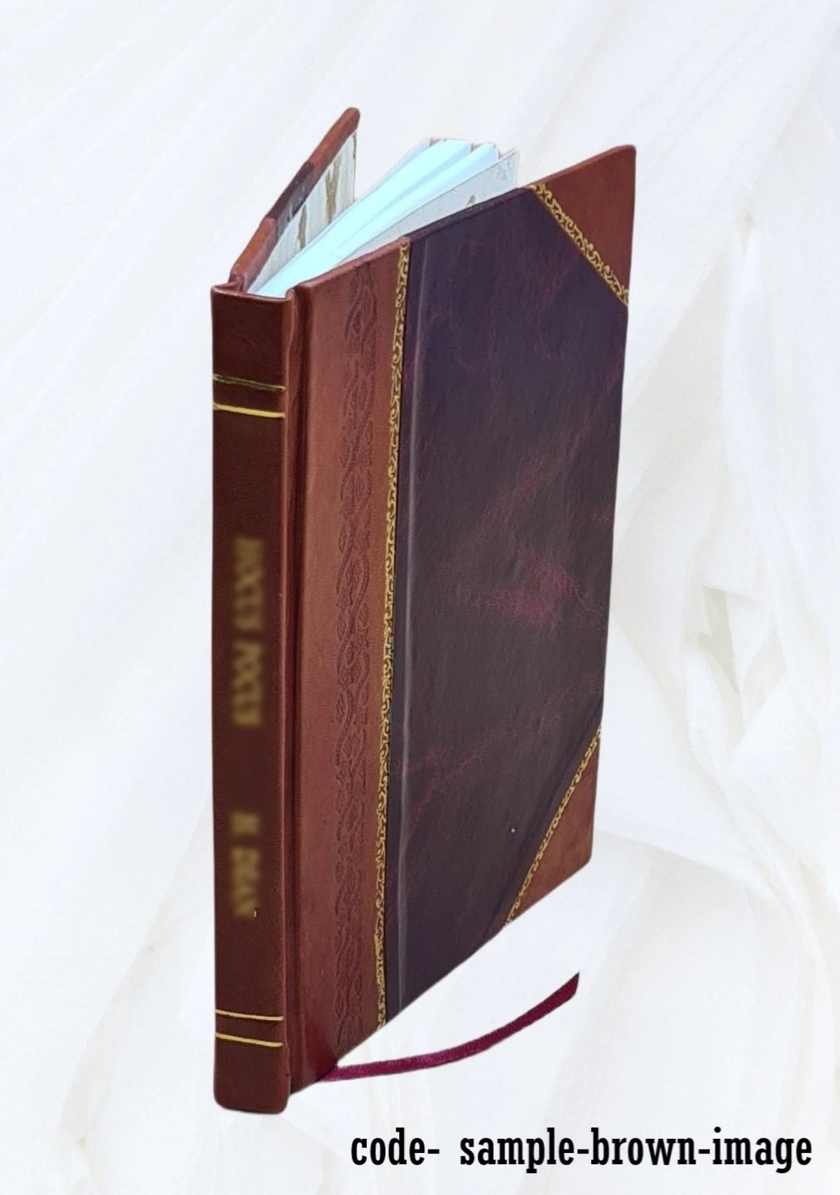 Leather Bound Book N46678