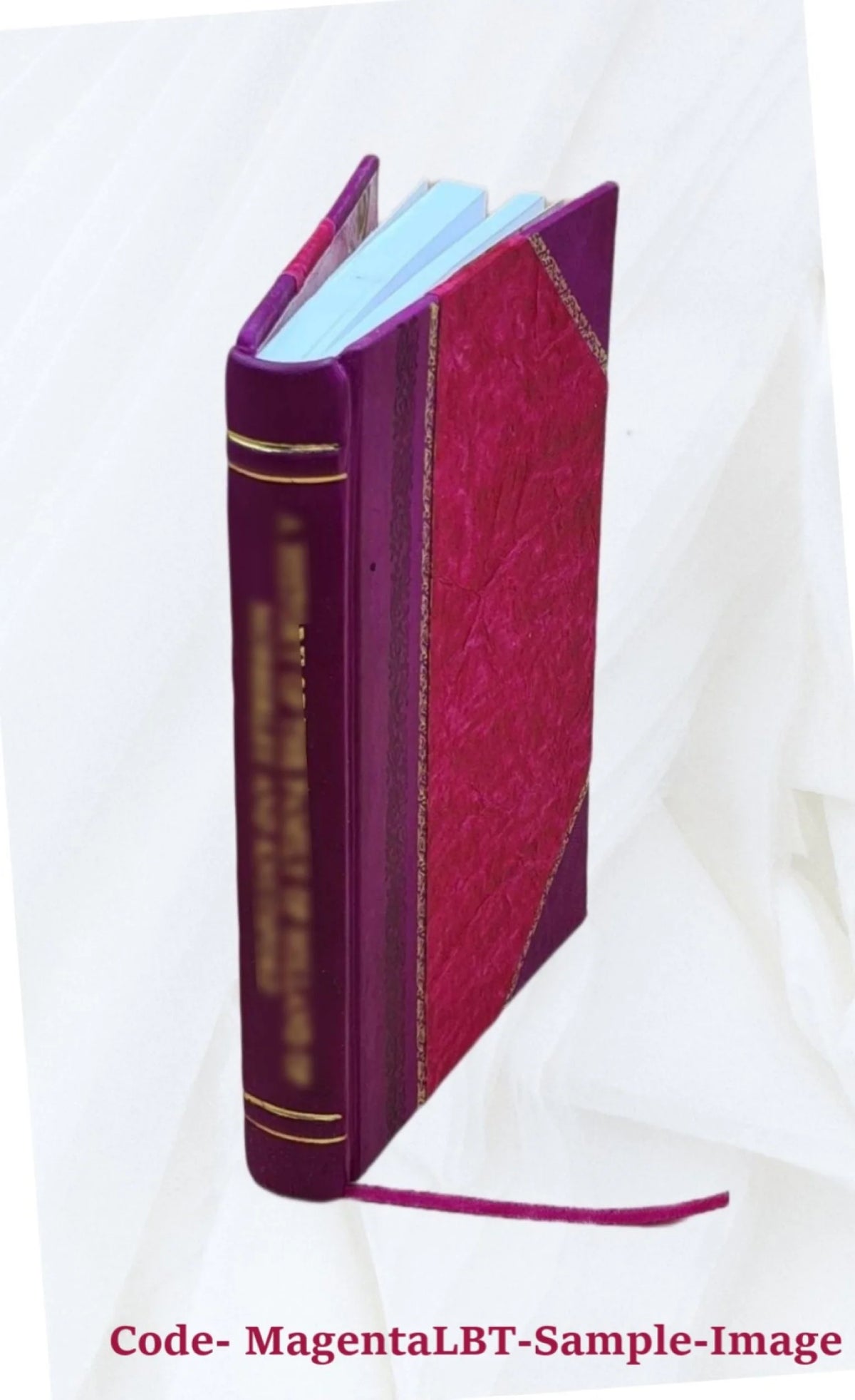 Leather Bound Book N46678