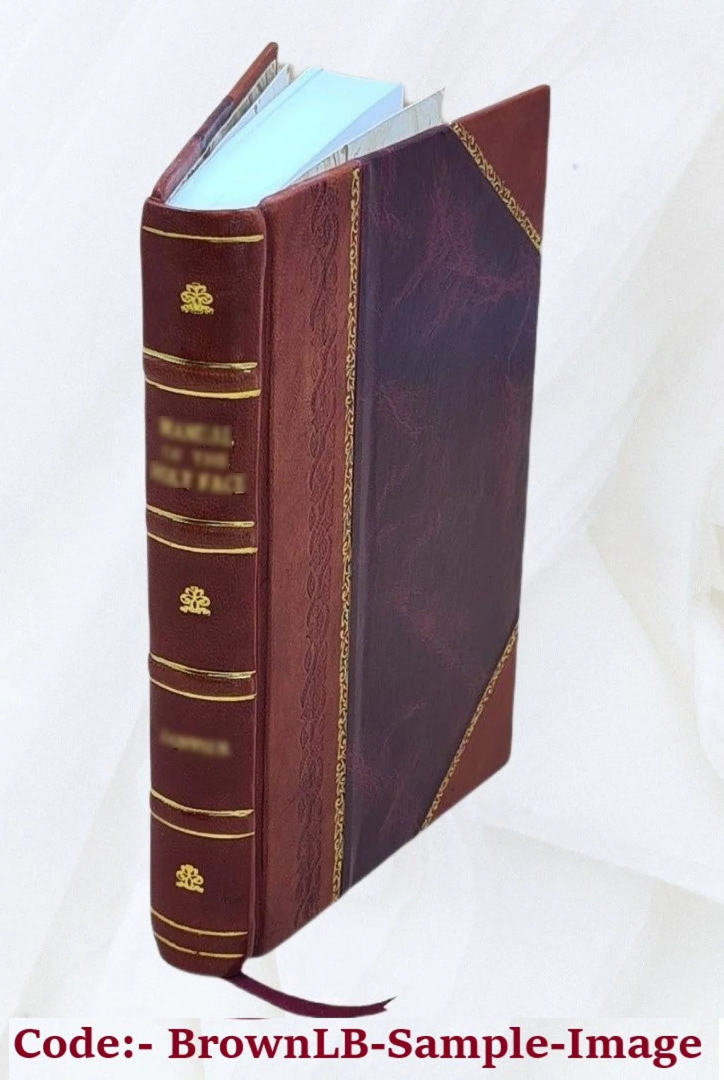 Campagne d'un jeune Français en Grèce 1827 Leather Bound O114