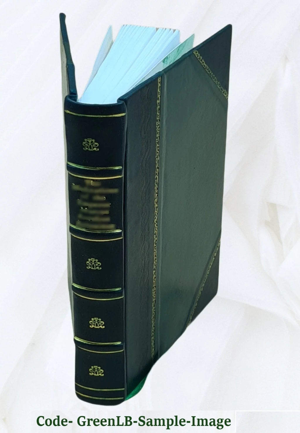 Campagne d'un jeune Français en Grèce 1827 Leather Bound O114